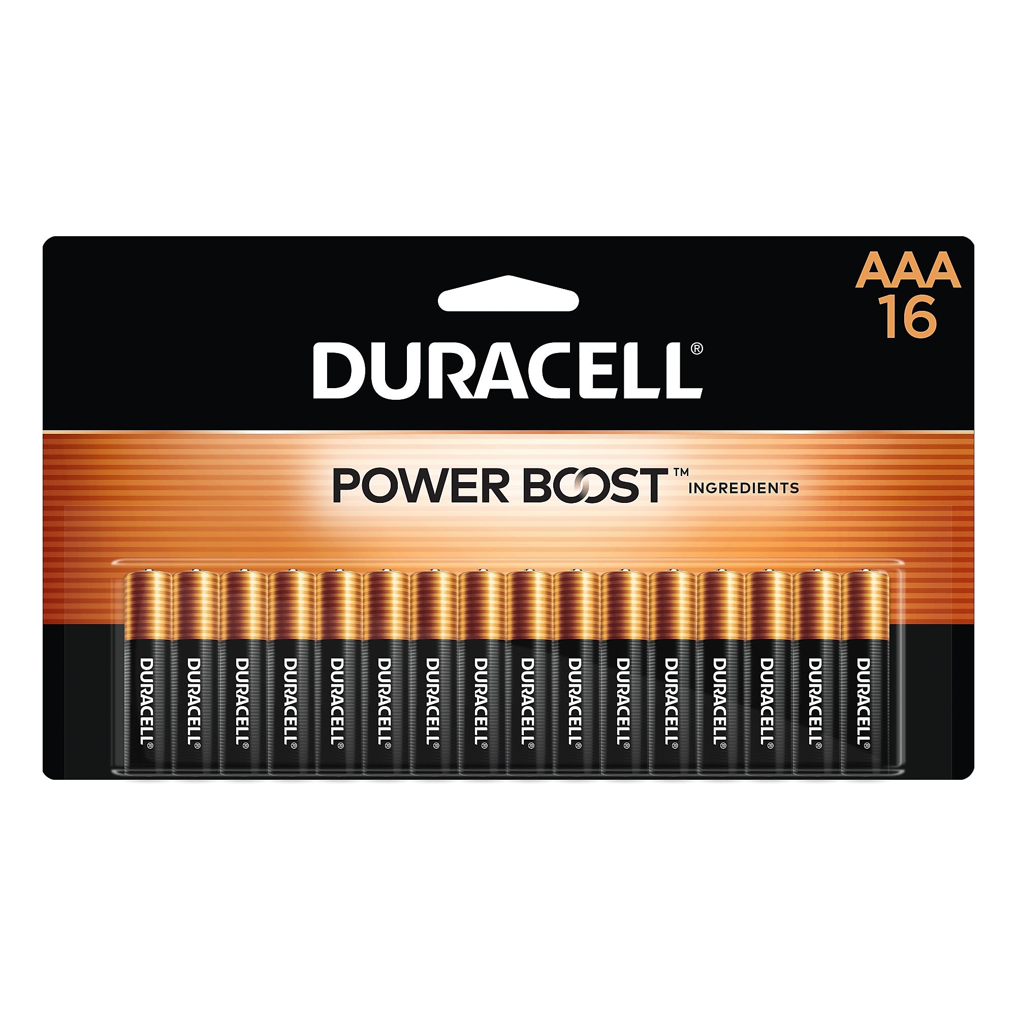 Duracell Coppertop AAA Alkaline Battery, 16/Pack