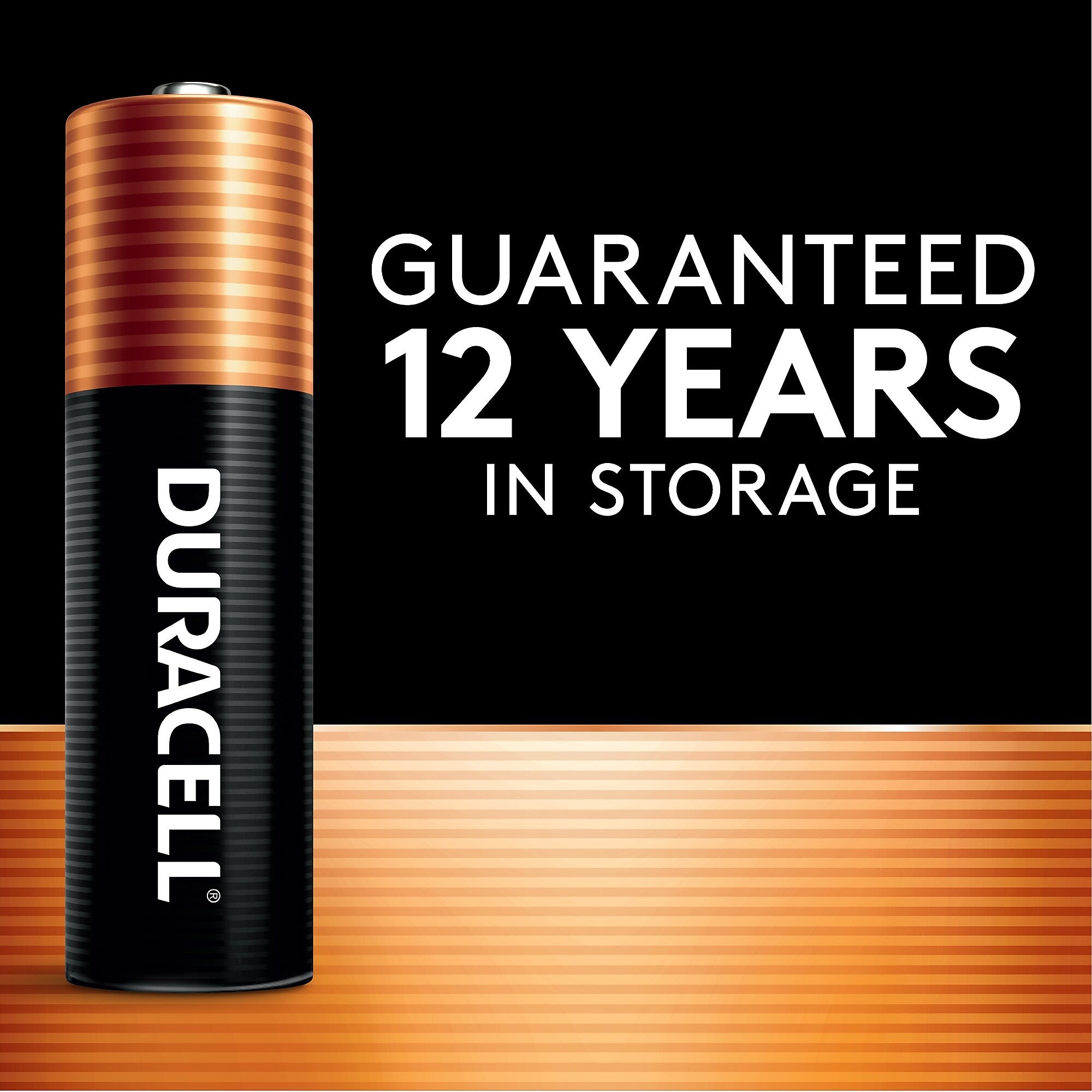 Duracell Coppertop AAA Alkaline Battery, 16/Pack