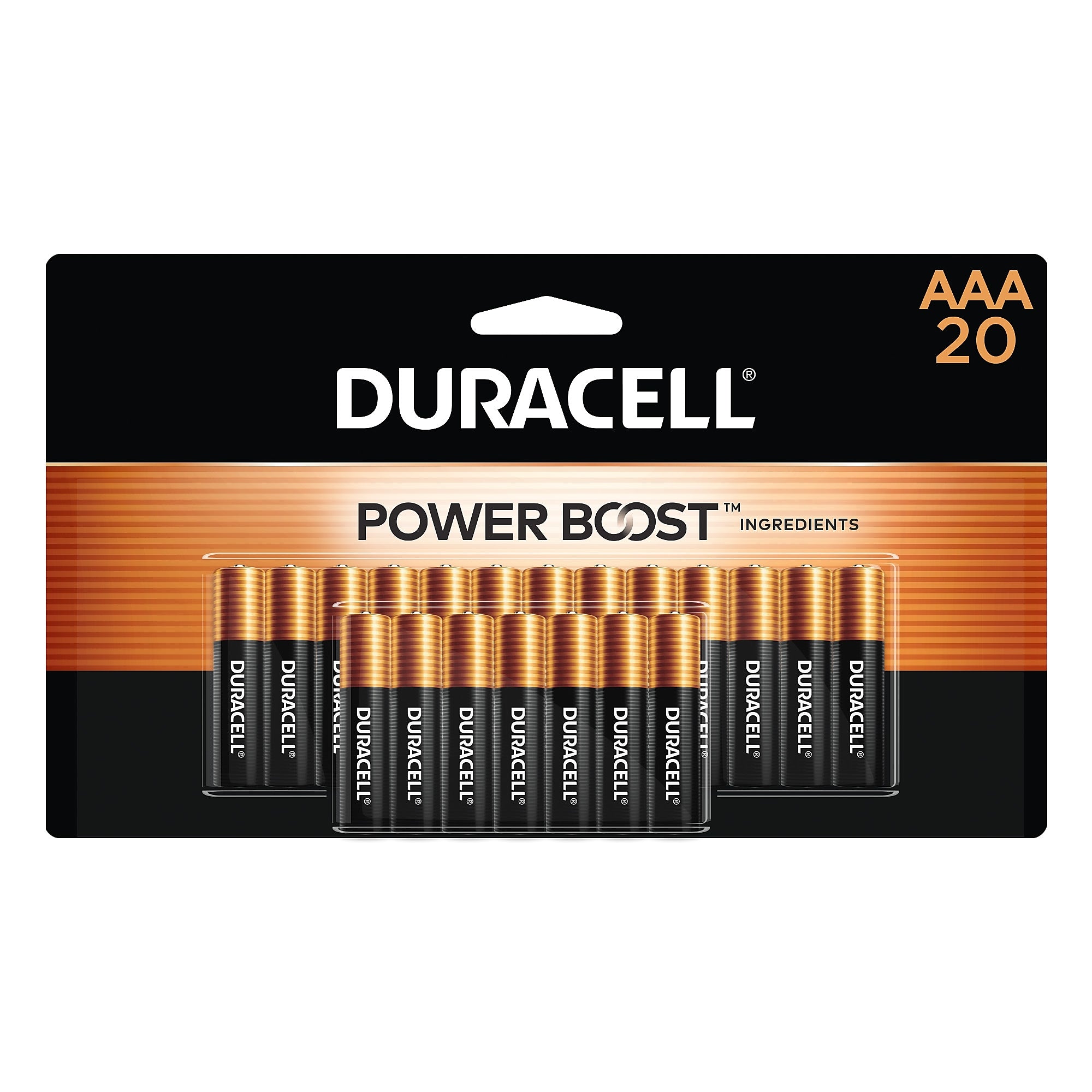 Duracell Coppertop AAA Alkaline Battery, 20/Pack