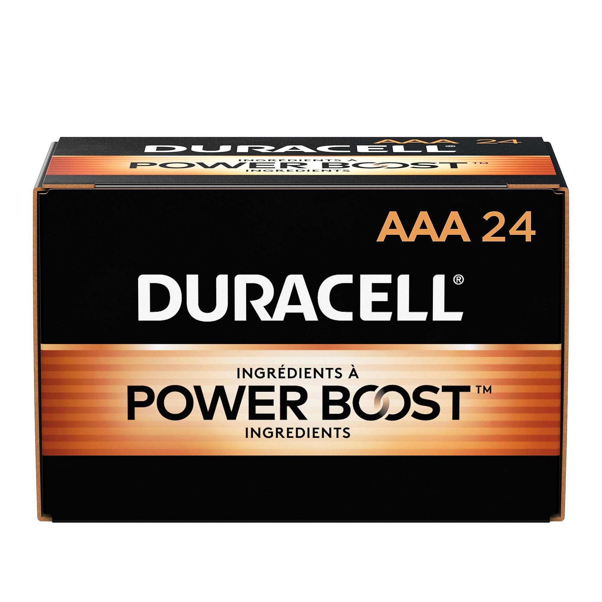 Duracell Coppertop AAA Alkaline Battery, 24/Pack