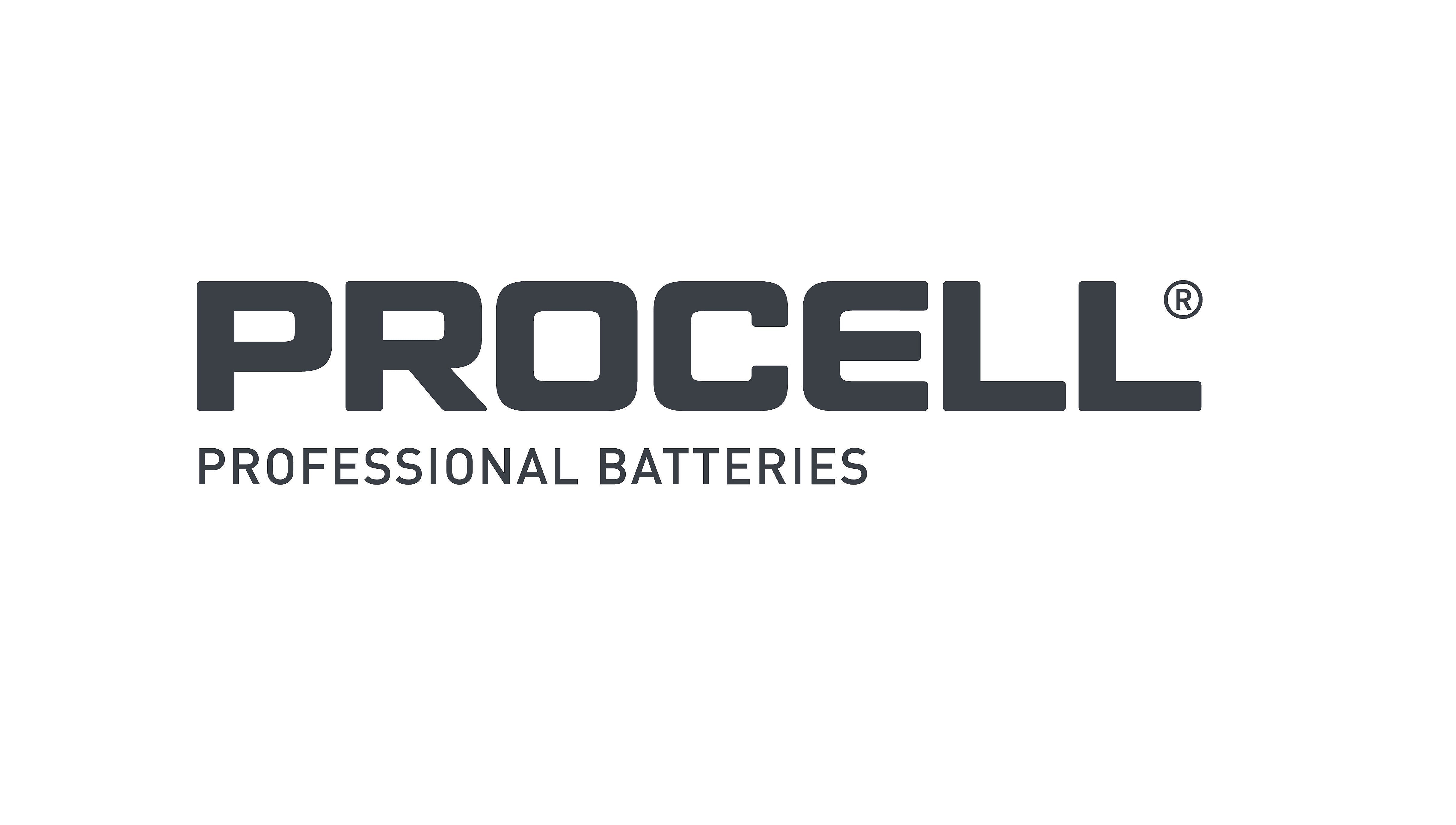 Duracell PROCELL AAA Alkaline Battery, 144/Pack