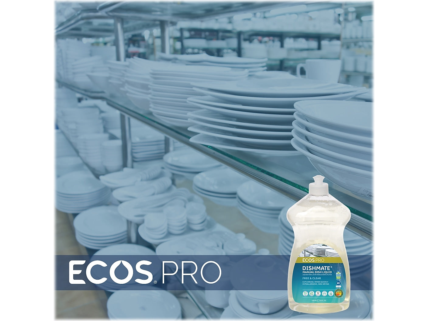 ECOS PRO Dishmate Liquid Dish Soap, 25 oz.