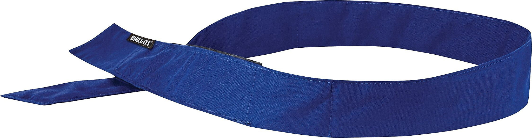 Ergodyne Chill-Its 6705 Evaporative Cooling Bandana, Blue, One Size, 24/Carton