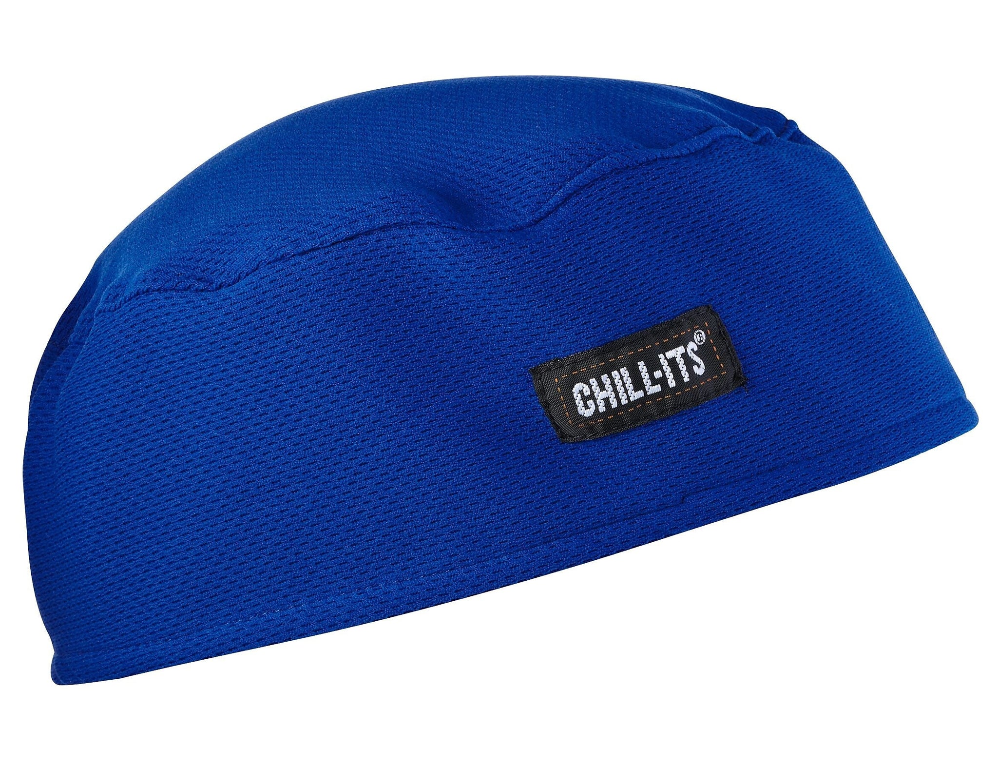 Ergodyne Chill-Its High-Performance Cooling Beanie, Blue, One Size, 6/Carton