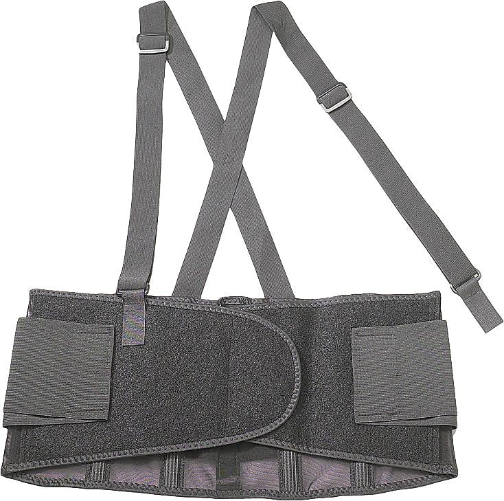 Ergodyne® ProFlex® Economy Back Support, Black, Small, 1 Each
