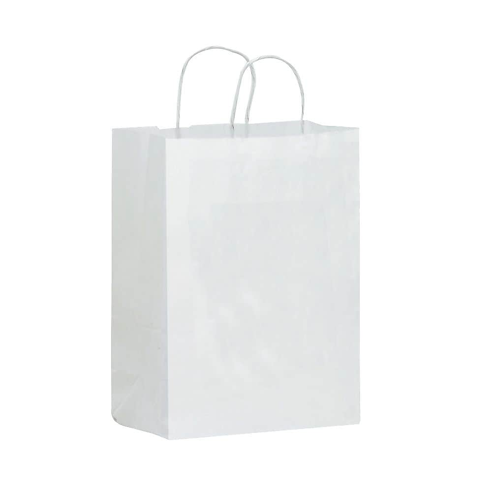 Escort Shopper 15.5" x 13" x 6" Kraft Paper Shopping Bags, White, 250/Carton