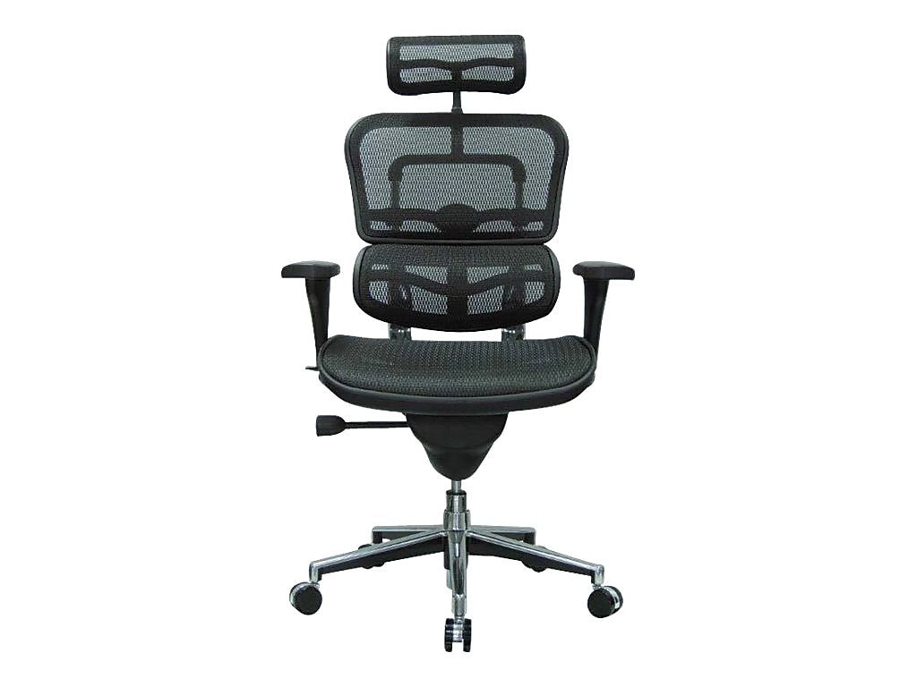 Eurotech High Back Mesh Task Chair, Black )