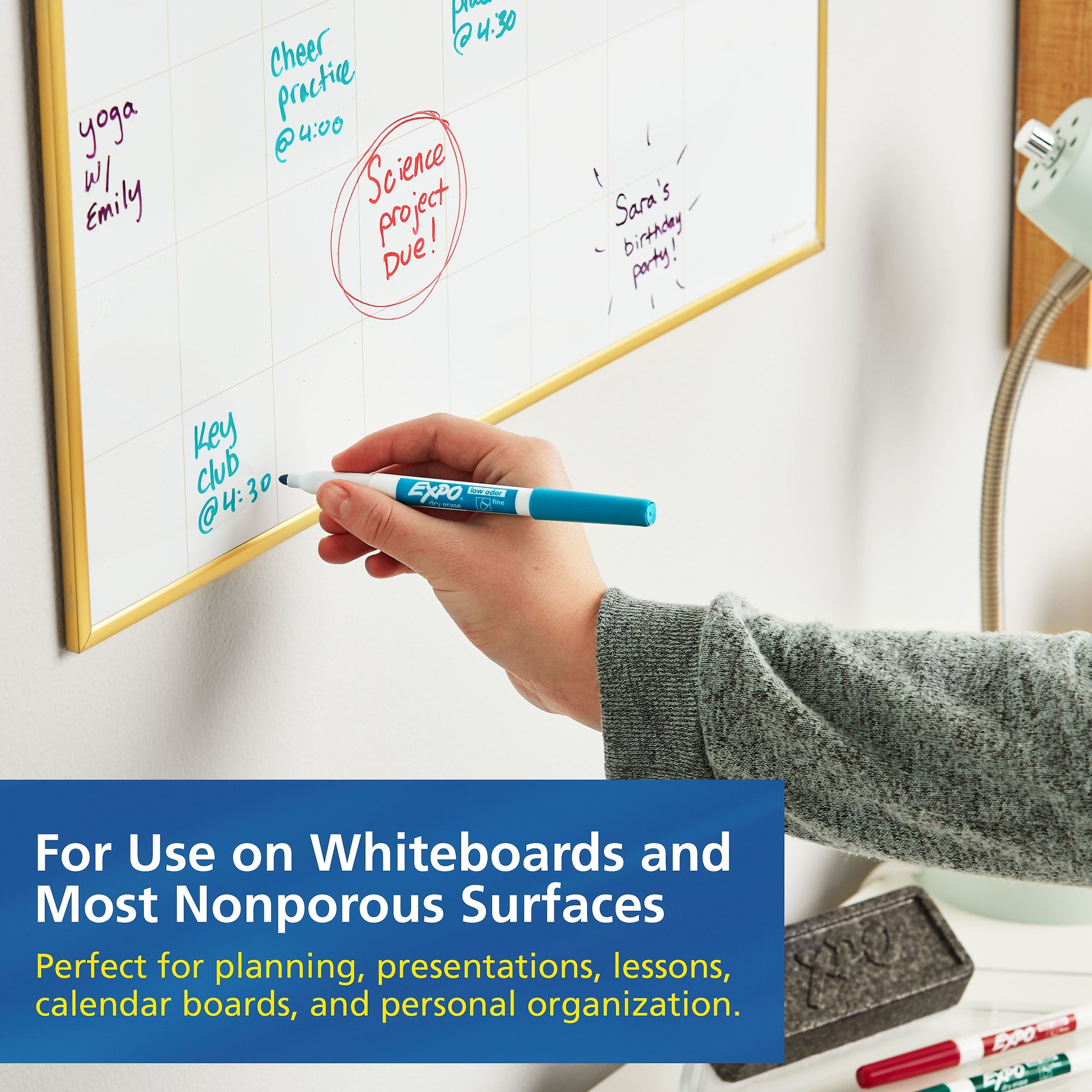 Expo Dry Erase Markers, Fine Tip, Assorted, 36/Pack