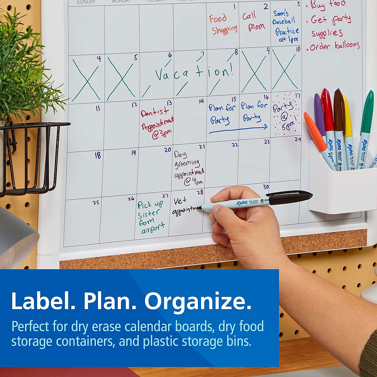 Expo Vis-a-Vis Wet Erase Markers, Fine Point, Assorted, 8/Pack