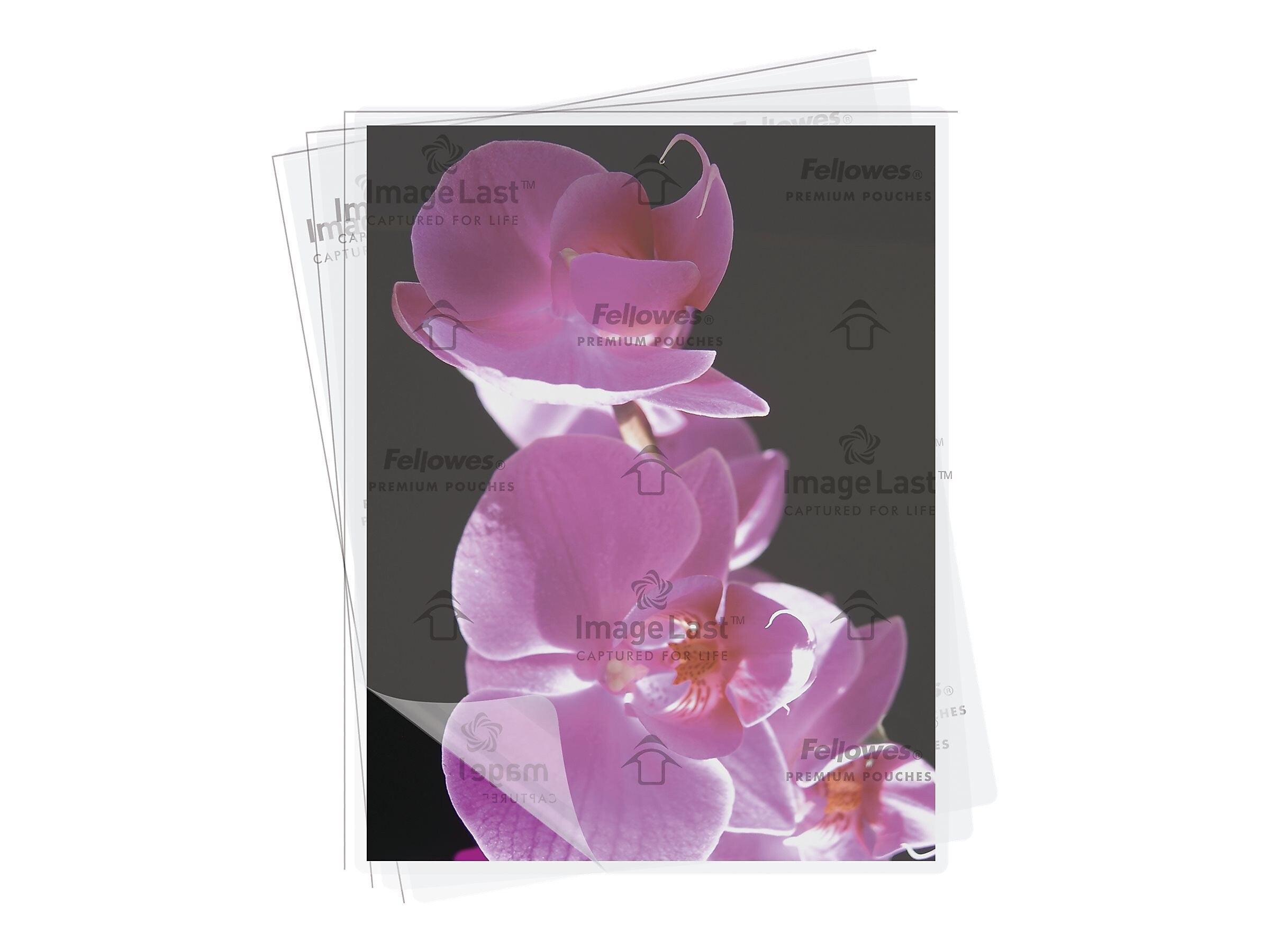 Fellowes Premium ImageLast Thermal Laminating Pouches, Letter Size, 3 Mil, 150/Pack