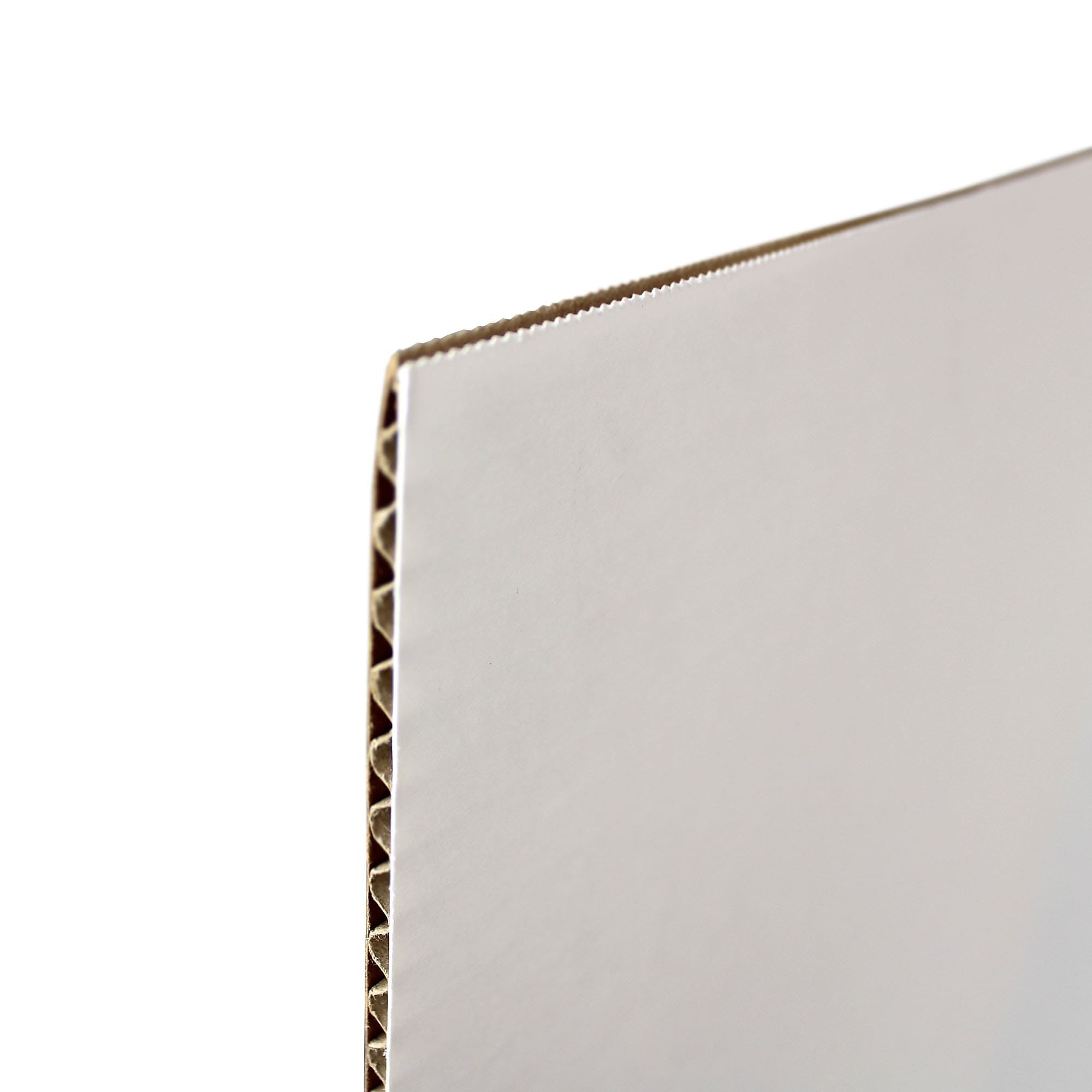Flipside Tri-Fold Presentation Board, 36