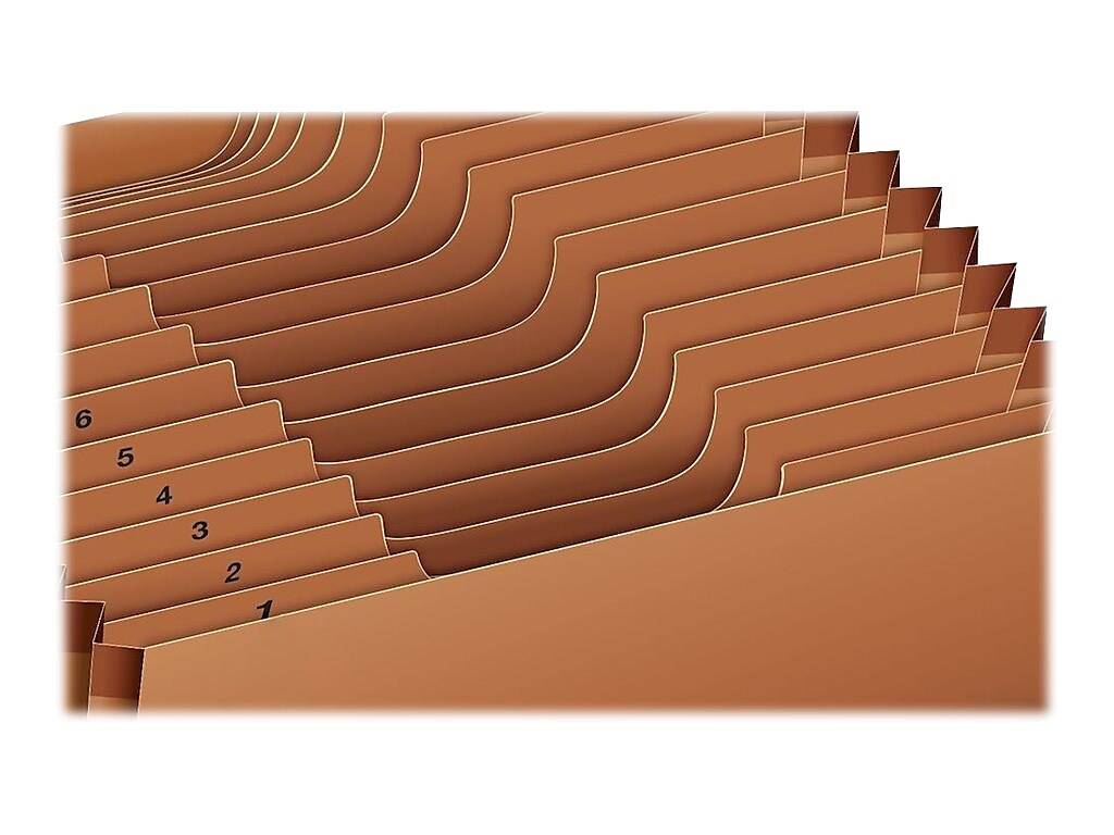 Globe-Weis Heavy Duty Expanding File, 1-31 Index, Letter Size, 31-Pocket, Brown
