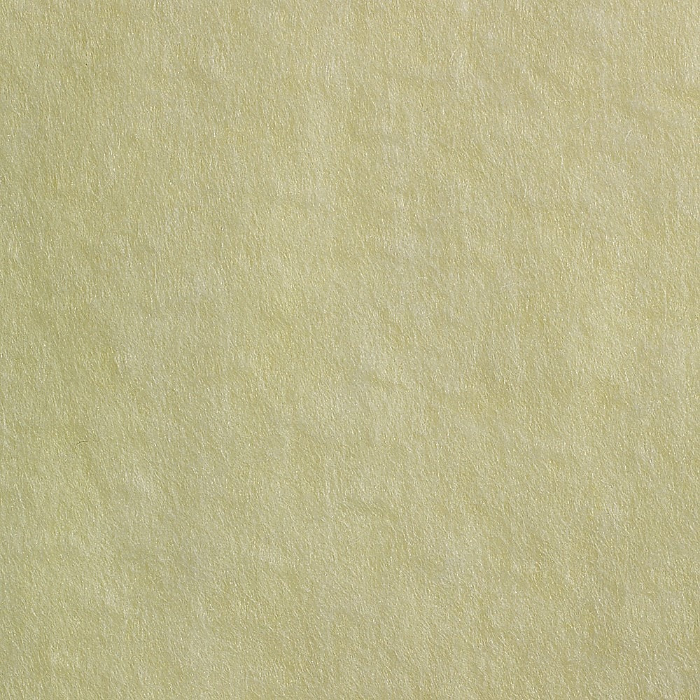 GP PRO Brawny® Professional Disposable Dusting Cloth, 24