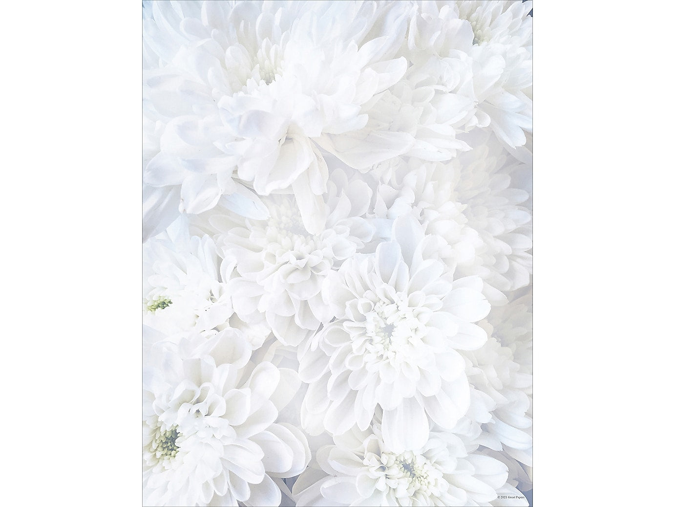 Great Papers! White Soft Petals Everyday Letterhead, White, 80/Pack