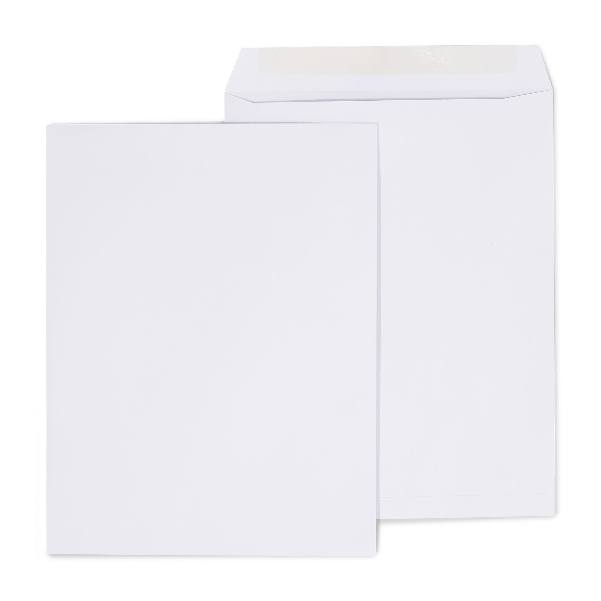 Gummed Catalog Envelopes, 10