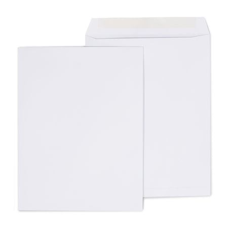 Gummed Catalog Envelopes, 10"L x 13"H, White, 250/Box