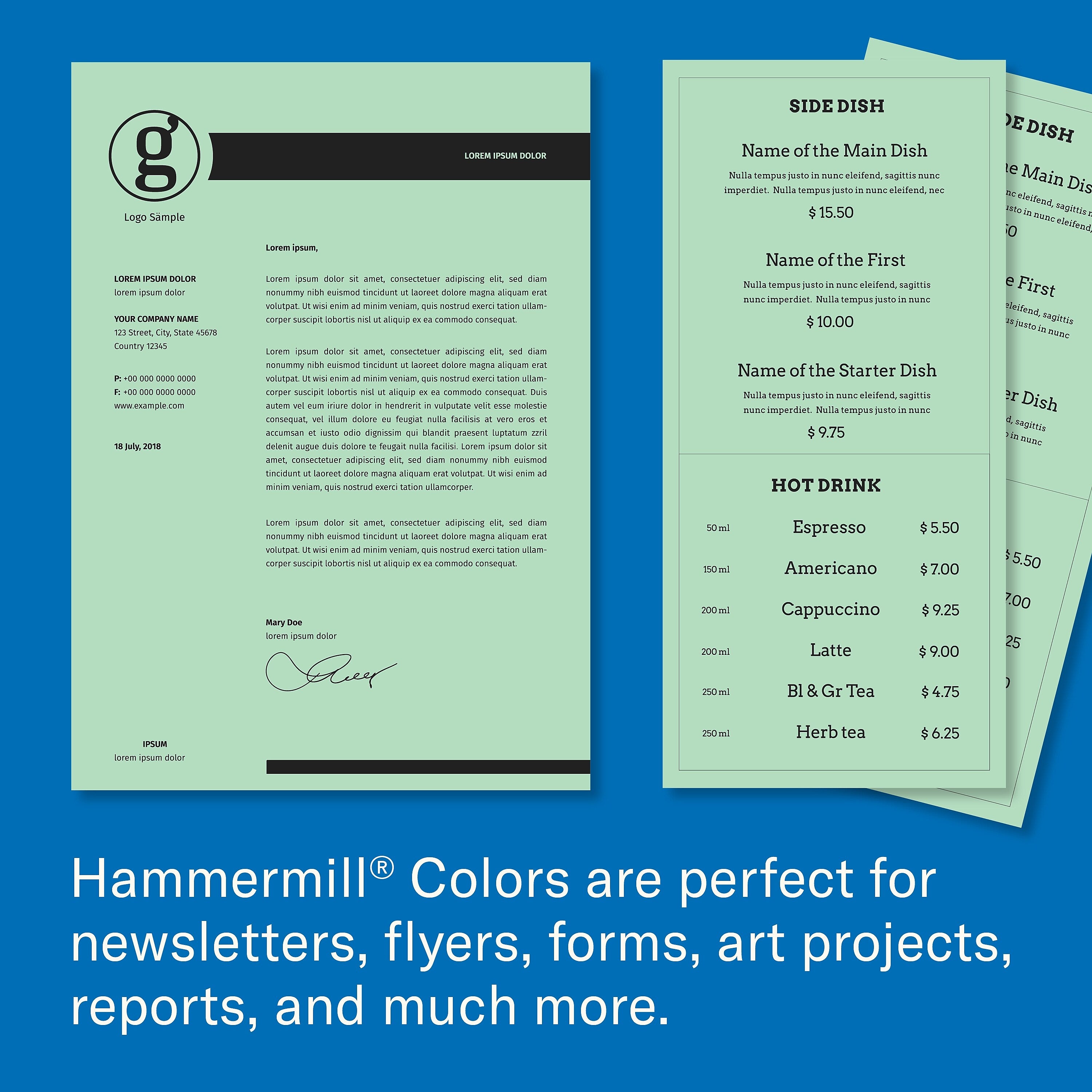 Hammermill Colors 11