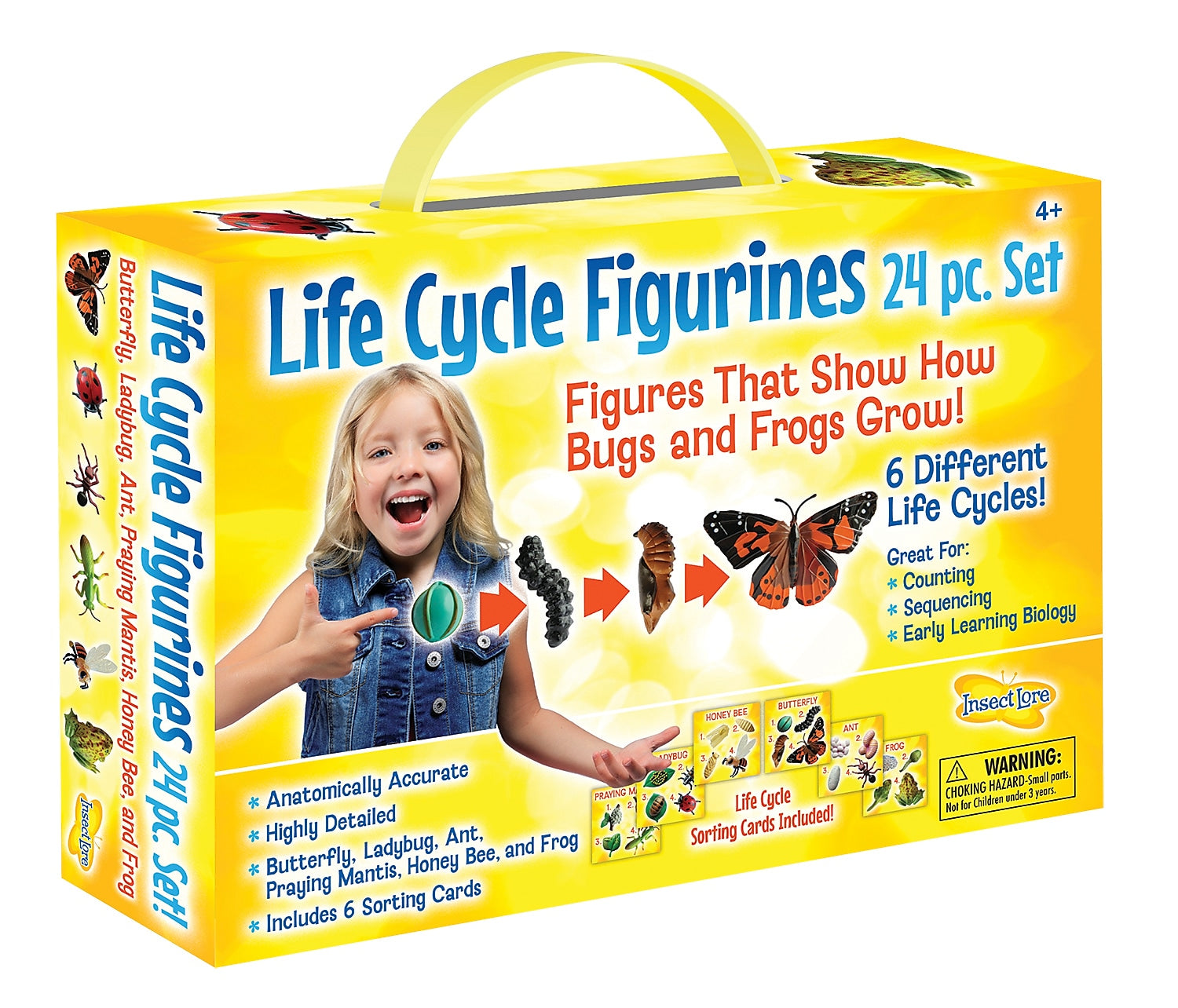Insect Lore Life Cycle Figurines Set, 24 Pieces