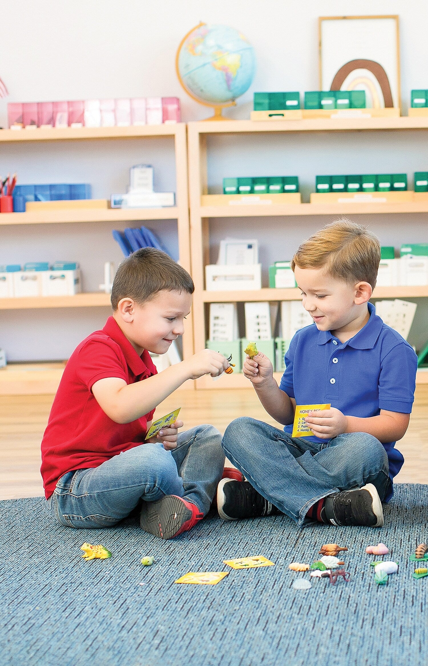 Insect Lore Life Cycle Figurines Set, 24 Pieces