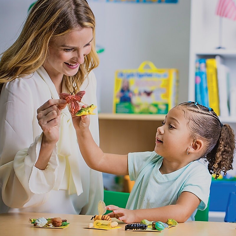 Insect Lore Life Cycle Figurines Set, 24 Pieces