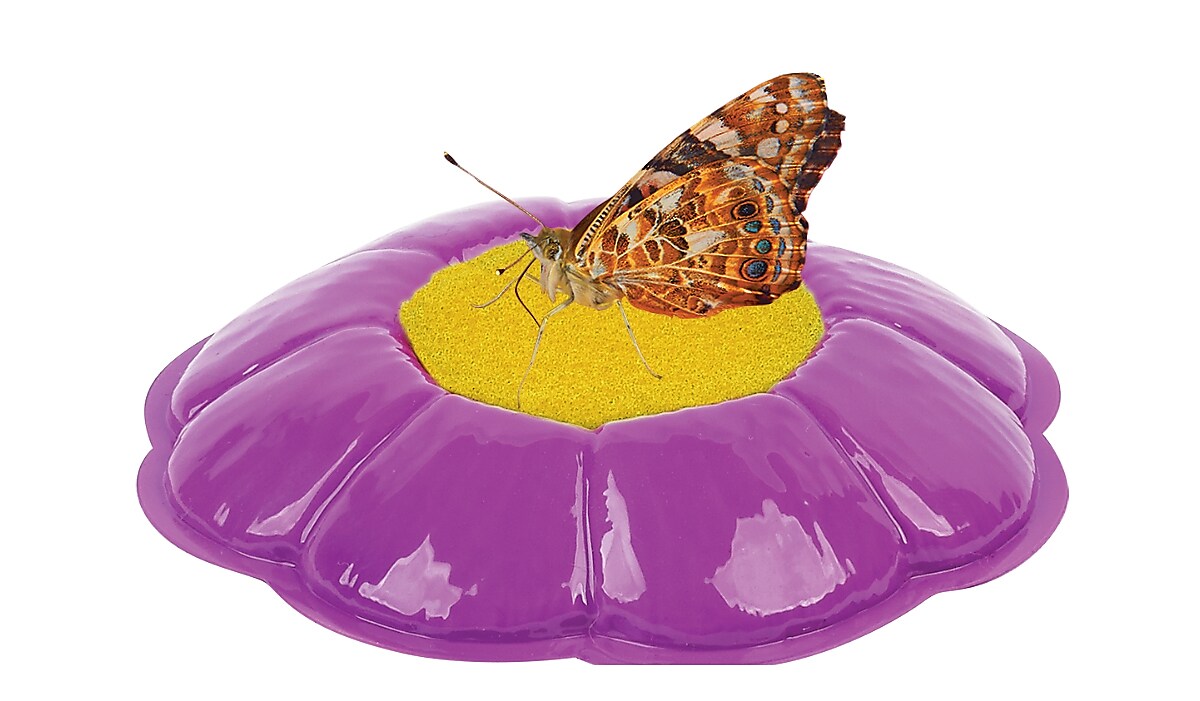 Insect Lore Products Animal Study, Live Butterfly Garden® Kit