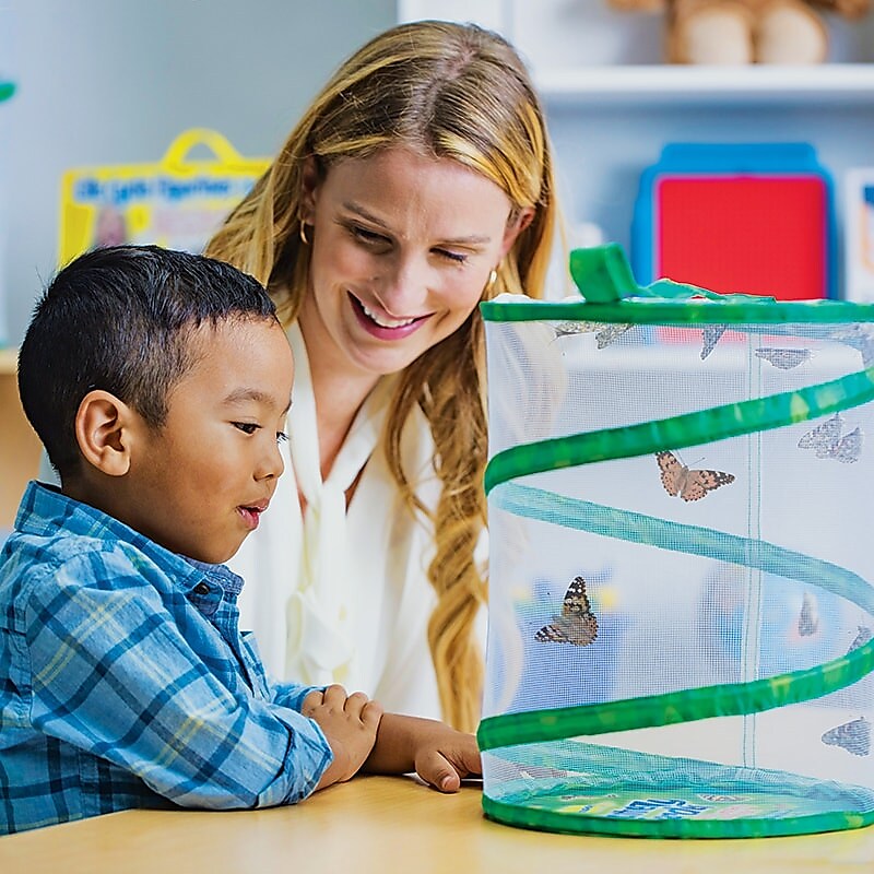 Insect Lore Products Animal Study, Live Butterfly Garden® Kit