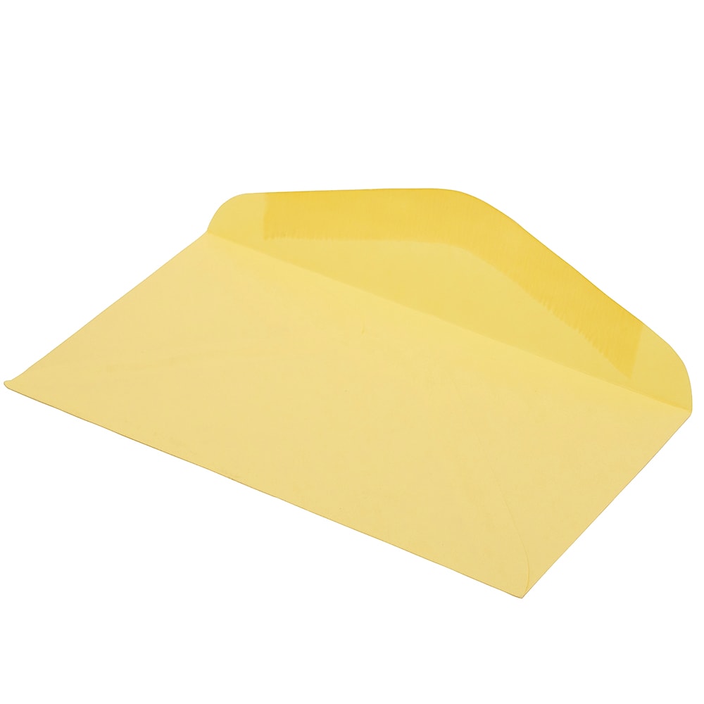 JAM Paper #6 3/4 Business Envelope, 3 5/8" x 6 1/2", Cary Yellow, 25/Pack