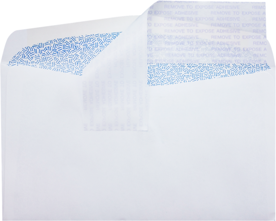 JAM Paper #6 3/4 Regular Envelopes, 3 5/8 x 6 1/2, White w/ Sec Tint, P&S, 500/Pack
