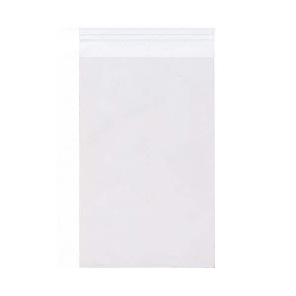 JAM Paper Cellophane Envelope with Peel & Seal Closure, 8.9375 x 11.25, Clear, 1000/Carton