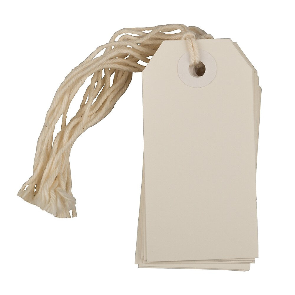 JAM Paper® Gift Tags with String, Small, 3 1/4 x 1 5/8, White, 10/pack