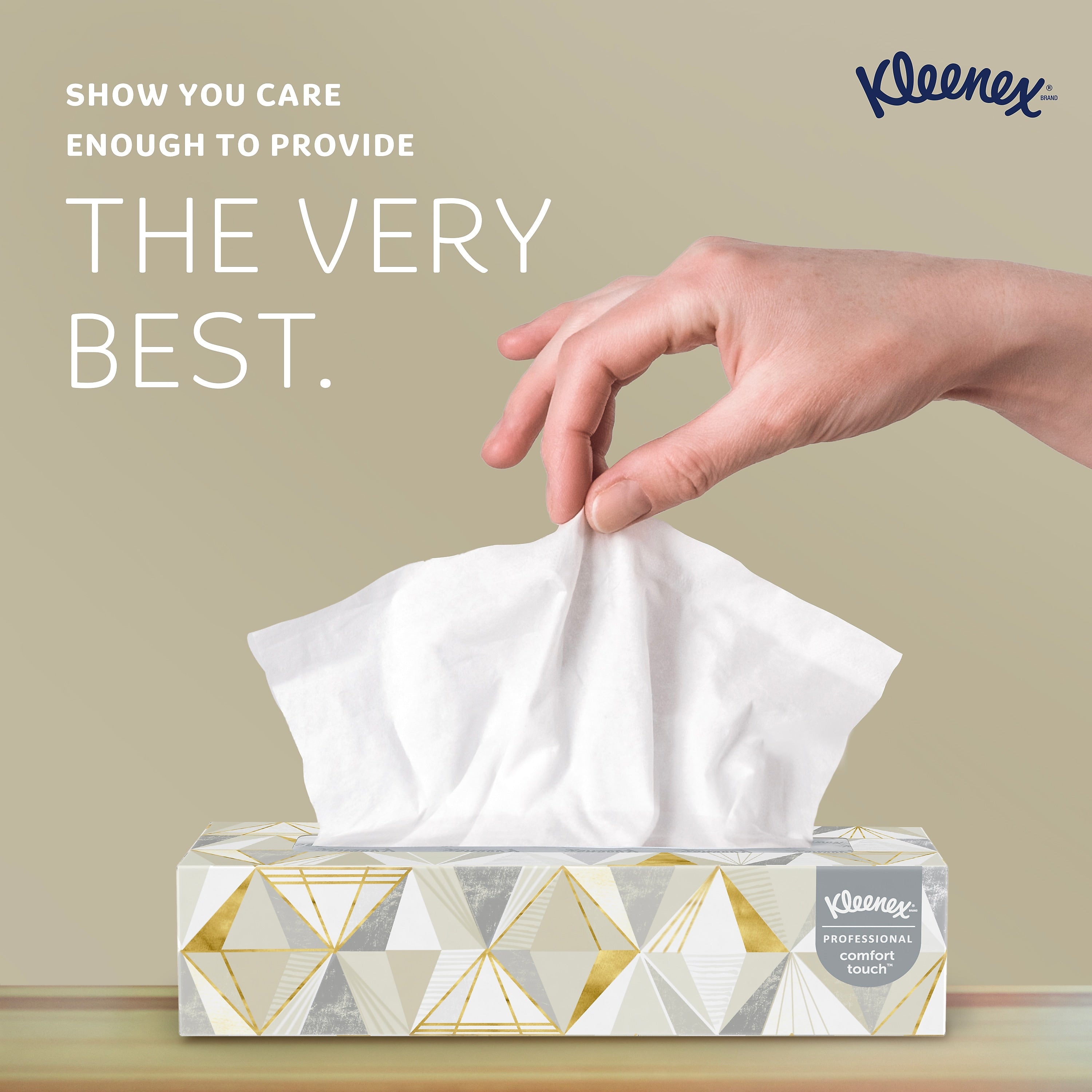 Kleenex Professional Standard Facial Tissue, 2-ply, White, 125 Tissues/Box