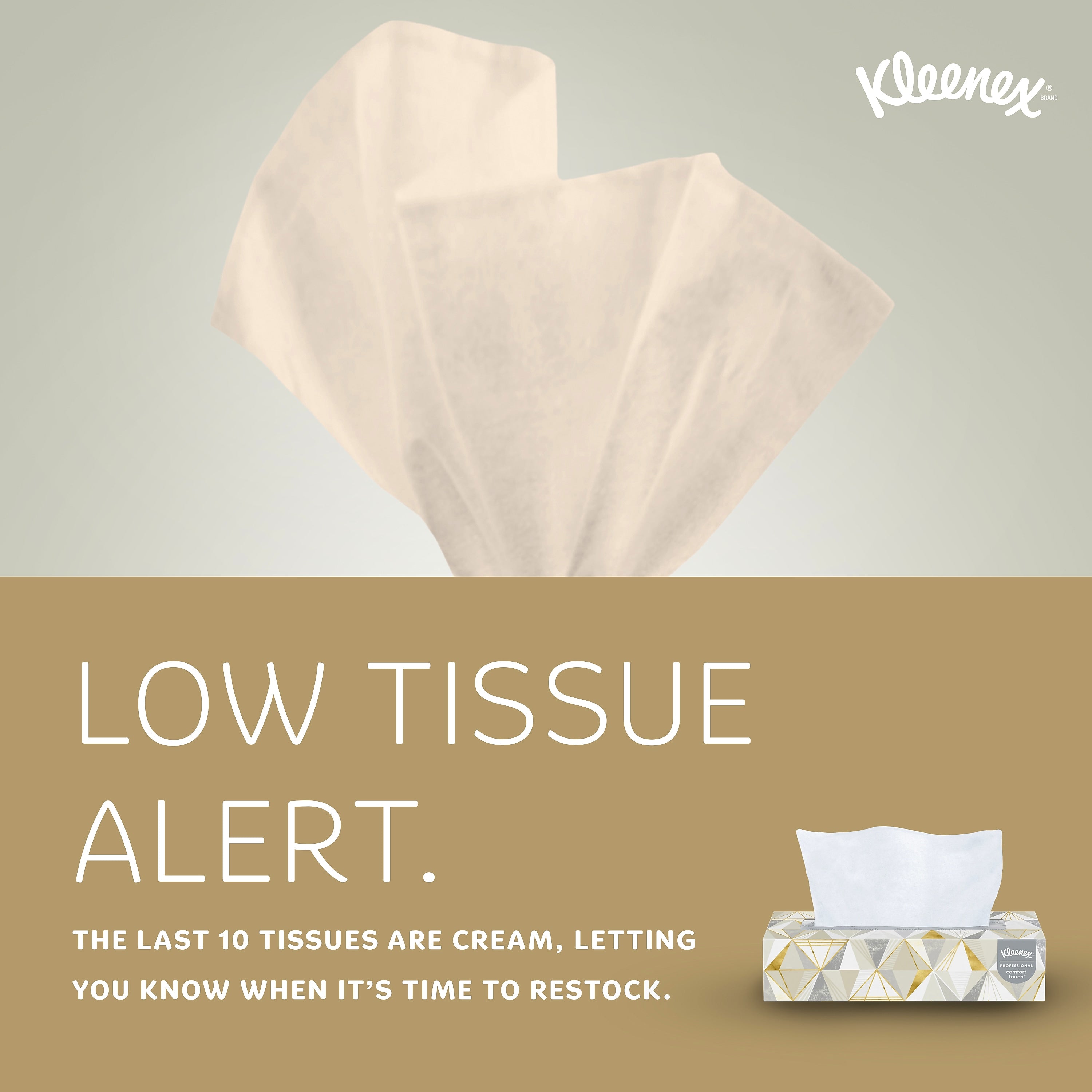 Kleenex Professional Standard Facial Tissue, 2-ply, White, 125 Tissues/Box
