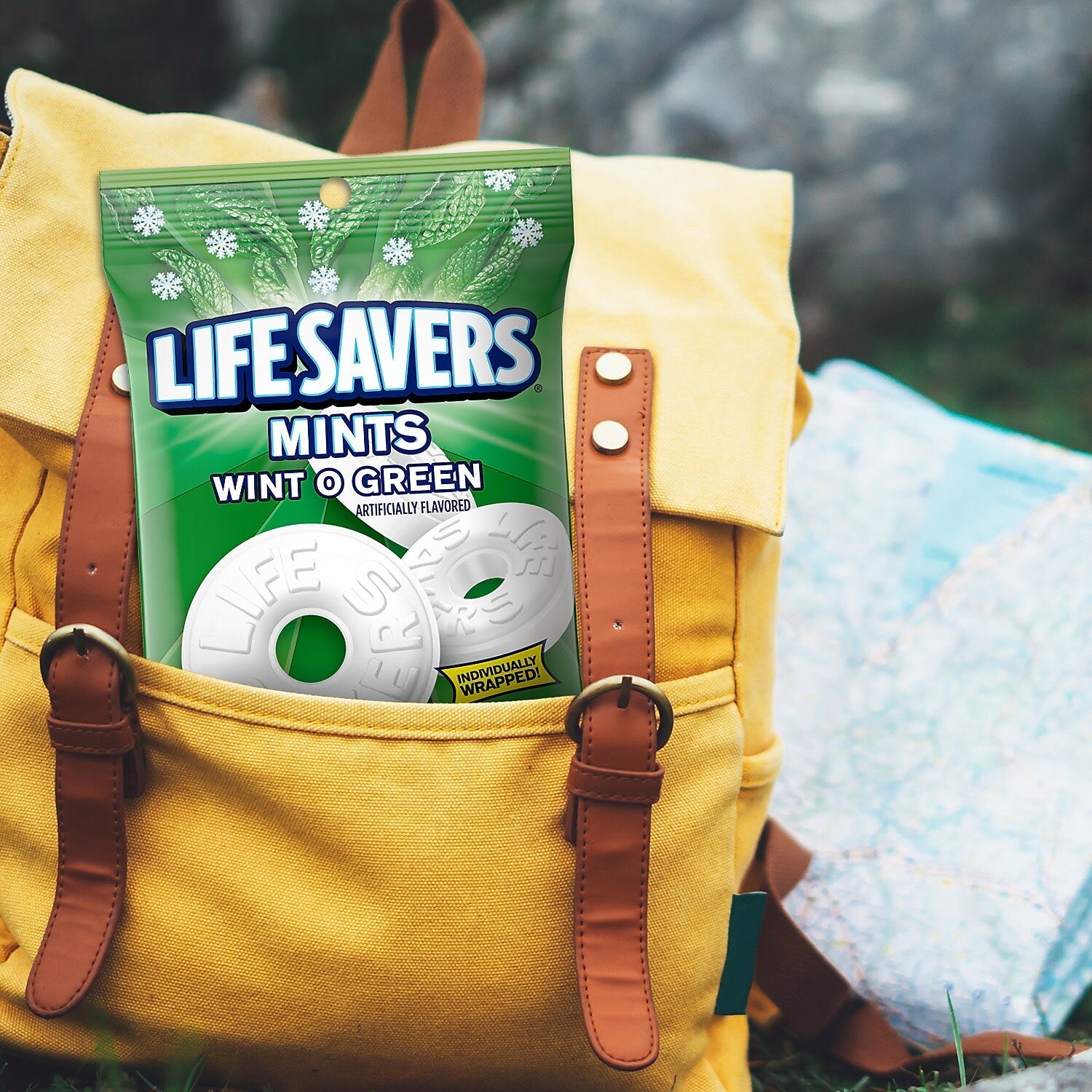 Life Savers Wint O Green Mints Candy Bag, 6.25 oz