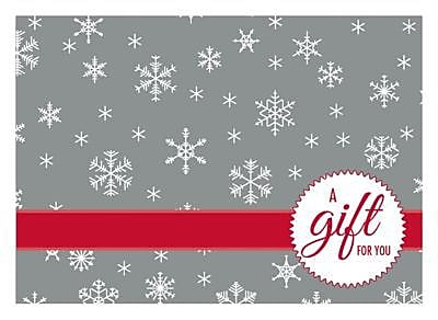 LUX #17 Mini Gift Card Envelopes, 2 11/16" x 3 11/16", Silver Snowflake, 1000 Qty