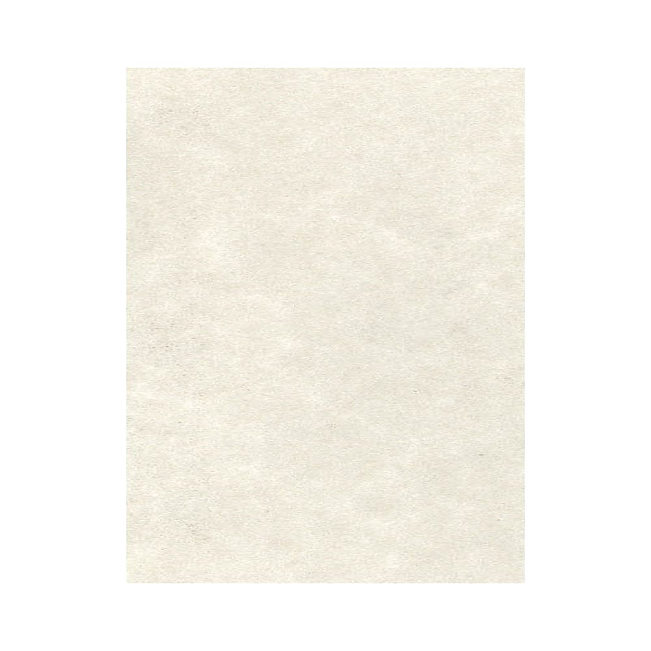 LUX 65 lb. Cardstock Paper, 8.5" x 11", Cream Parchment, 250 Sheets/Pack