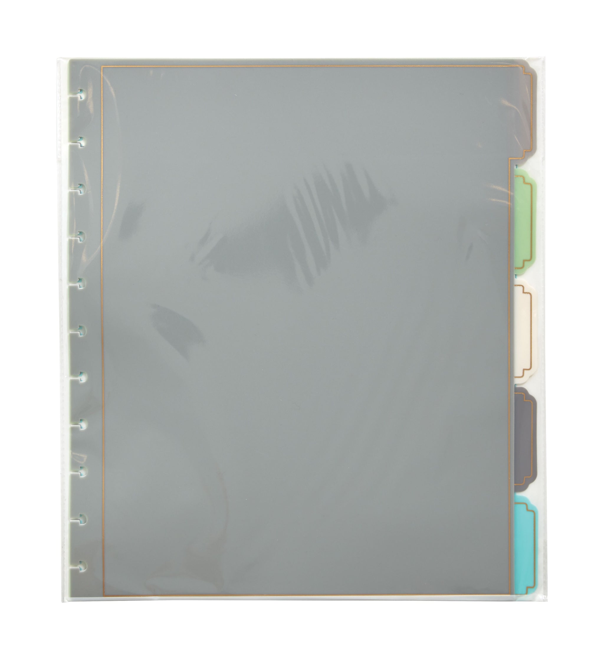 Martha Stewart Set of 5 Discbound Dividers