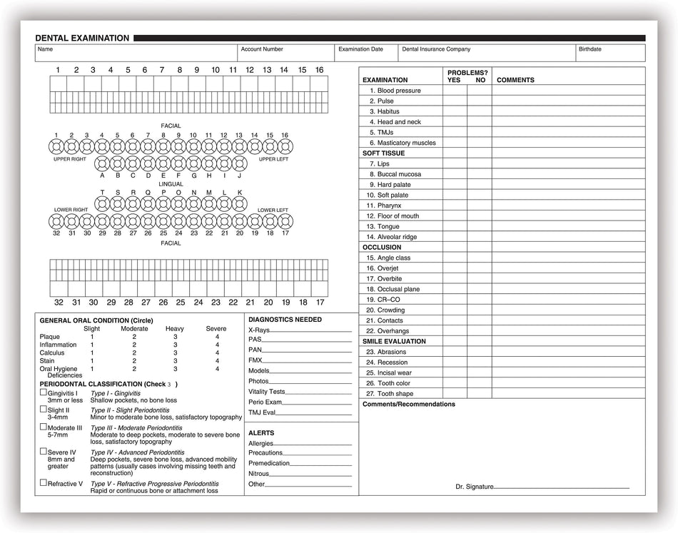 Medical Arts Press® Dental Exam Chart, White