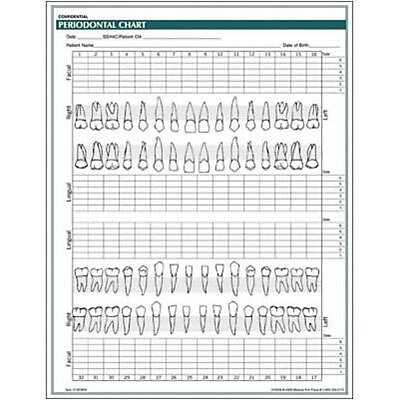 Medical Arts Press® Periodontal Chart; Rainbow FormFamily™, Dental