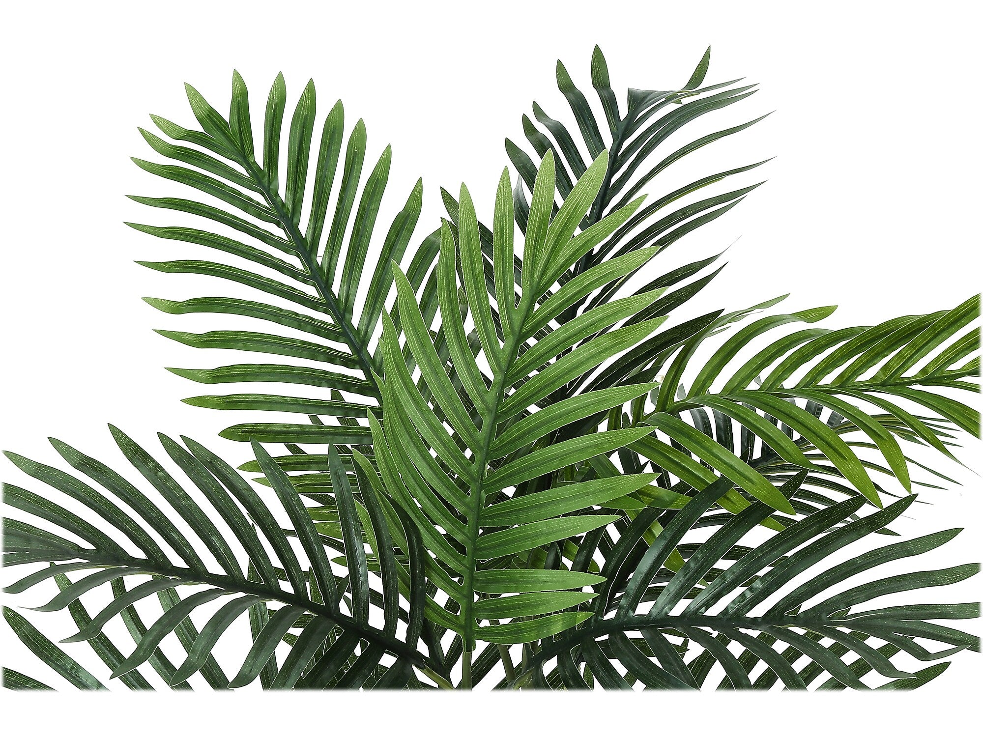 Monarch Specialties Inc. Palm in Basket