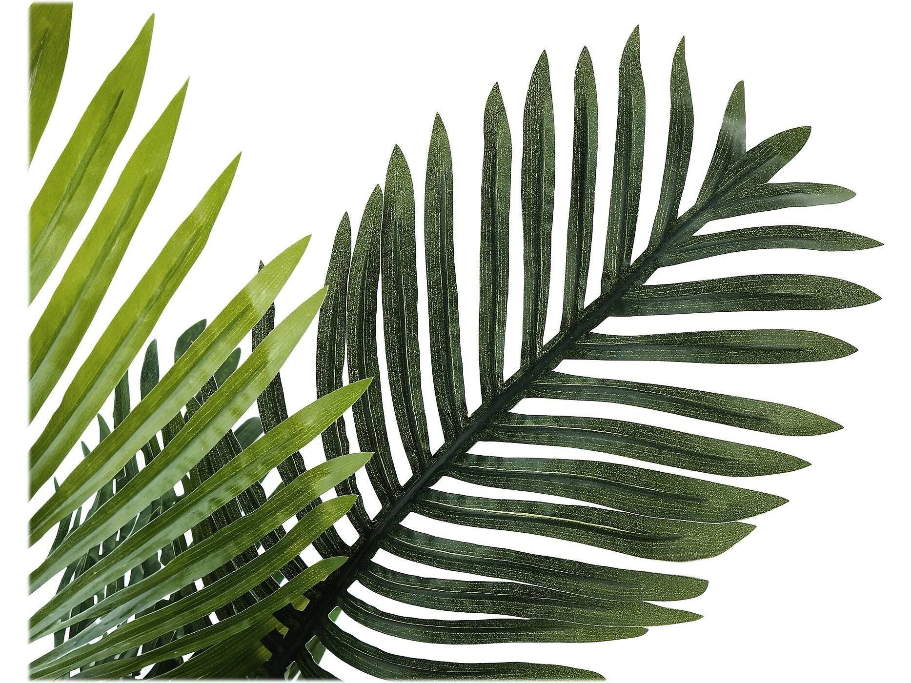 Monarch Specialties Inc. Palm in Basket