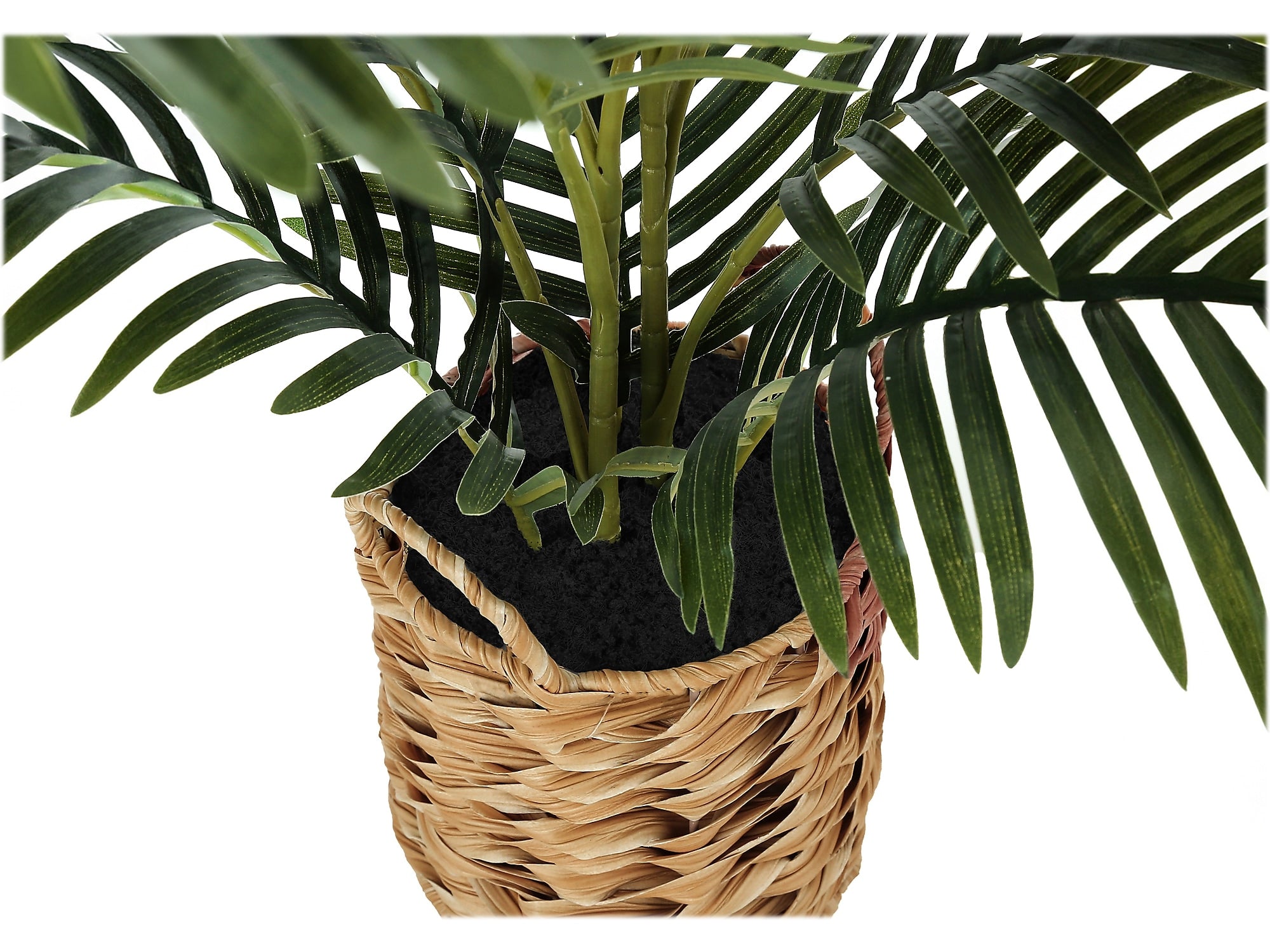 Monarch Specialties Inc. Palm in Basket