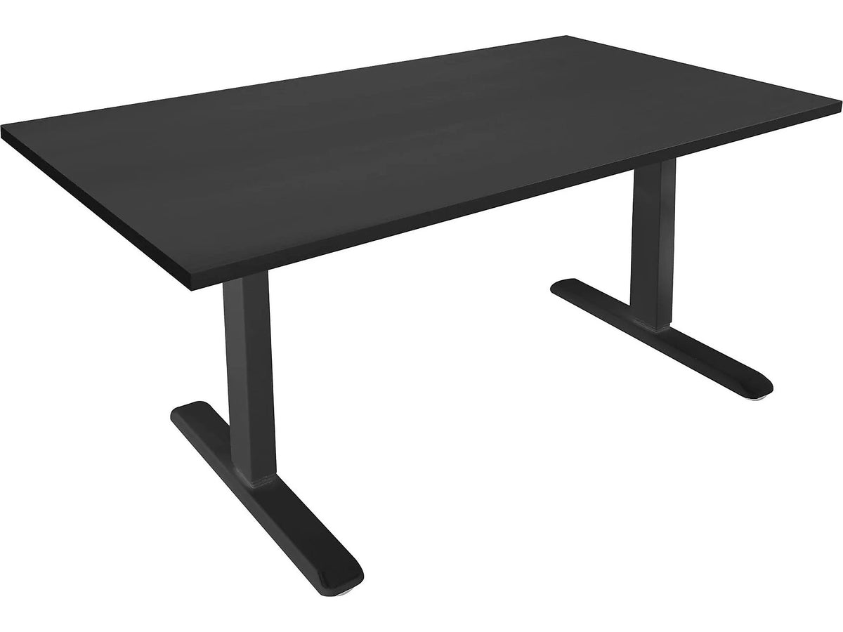 Mount-It! 55"W Electric Rectangular Adjustable Standing Desk, Black