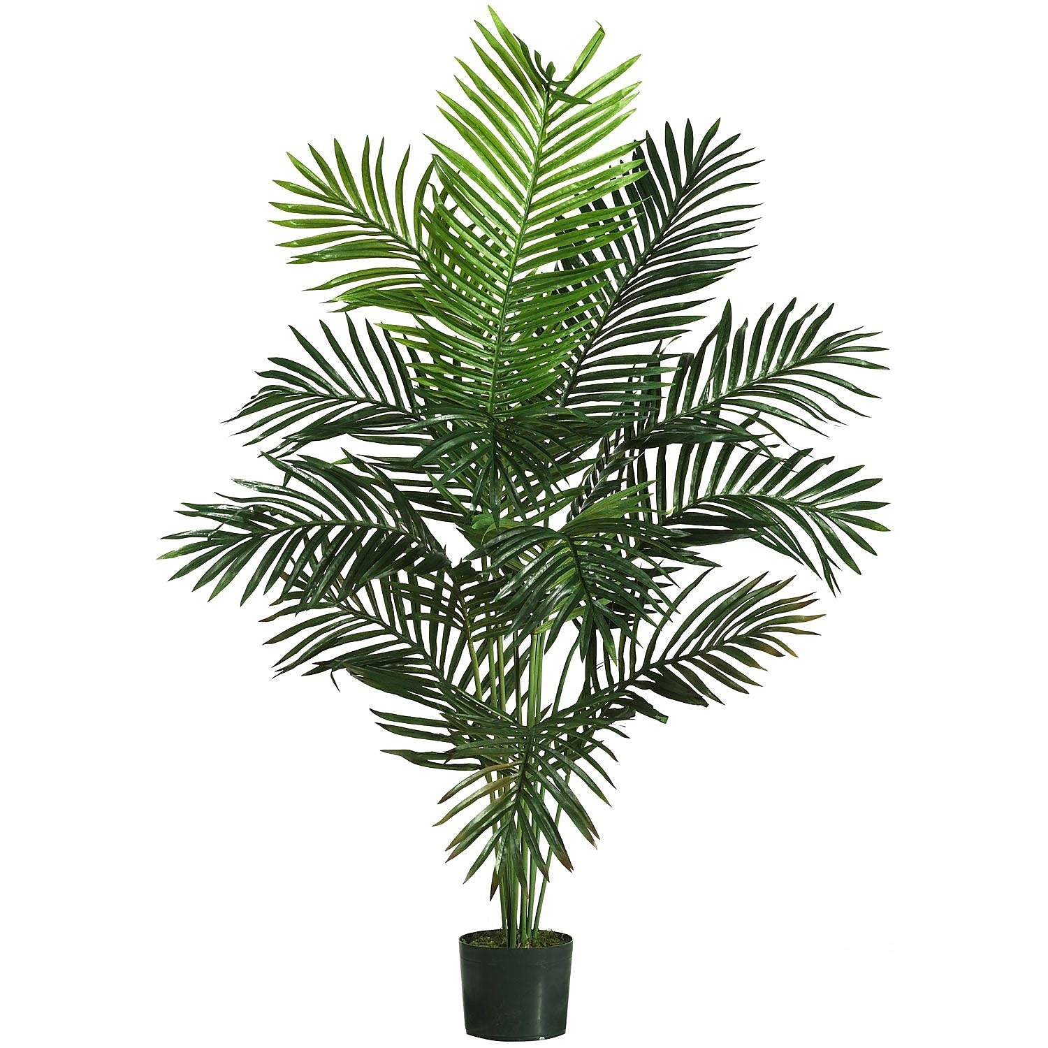 Nearly Natural 5259 5' Paradise Palm Plant in Pot