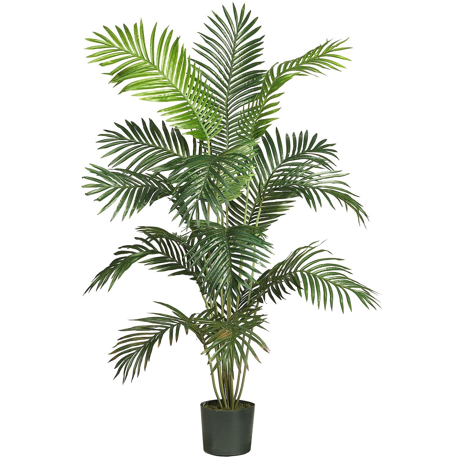 Nearly Natural 5260 6' Paradise Palm Plant in Pot