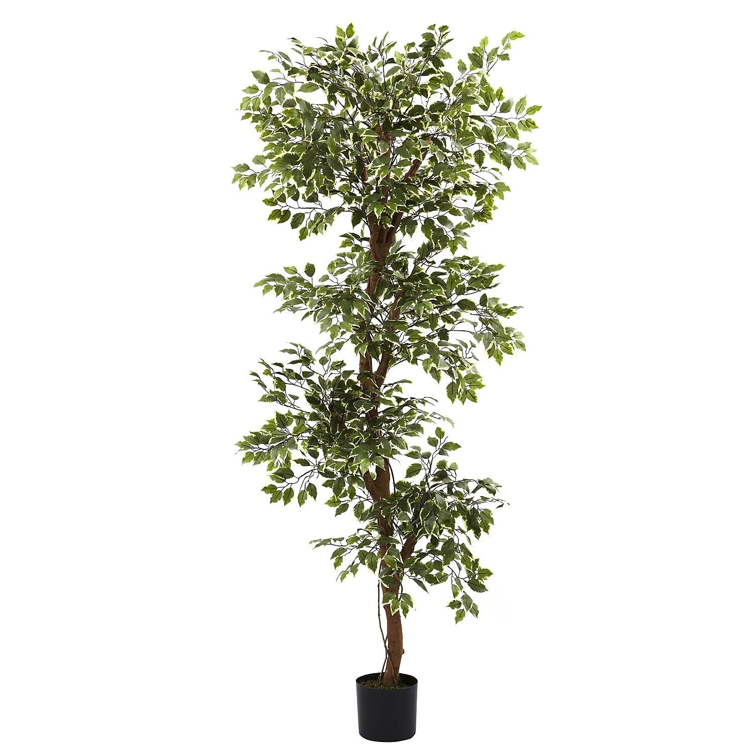 Nearly Natural 5345 6' Variegated Ficus Tree in Pot