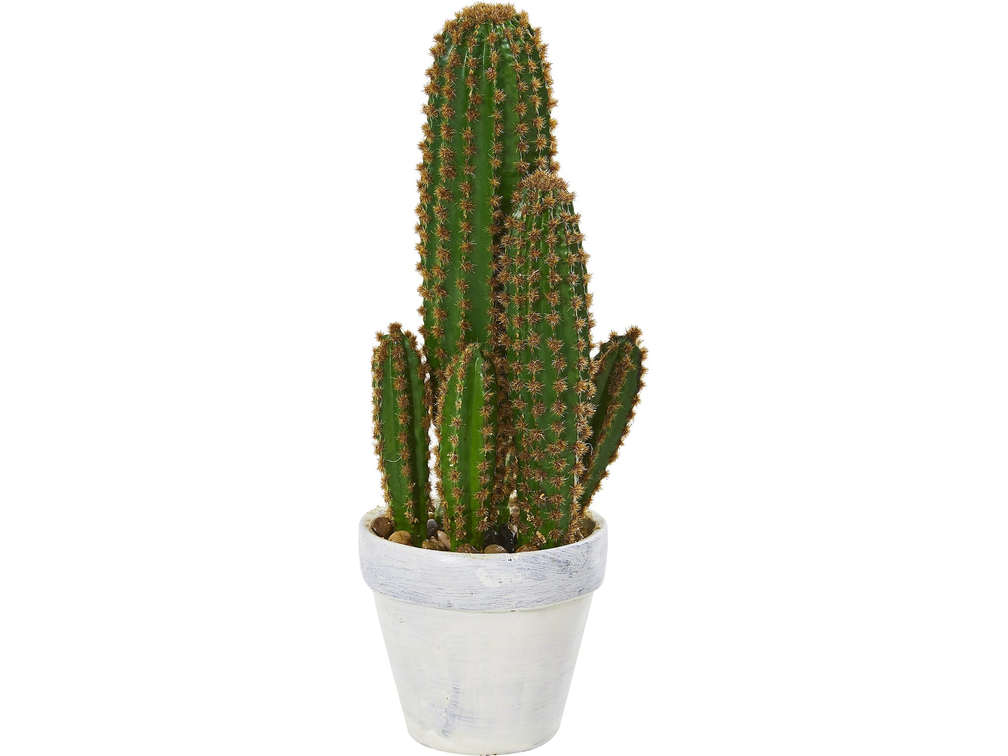 Nearly Natural Cactus Succulent in Pot