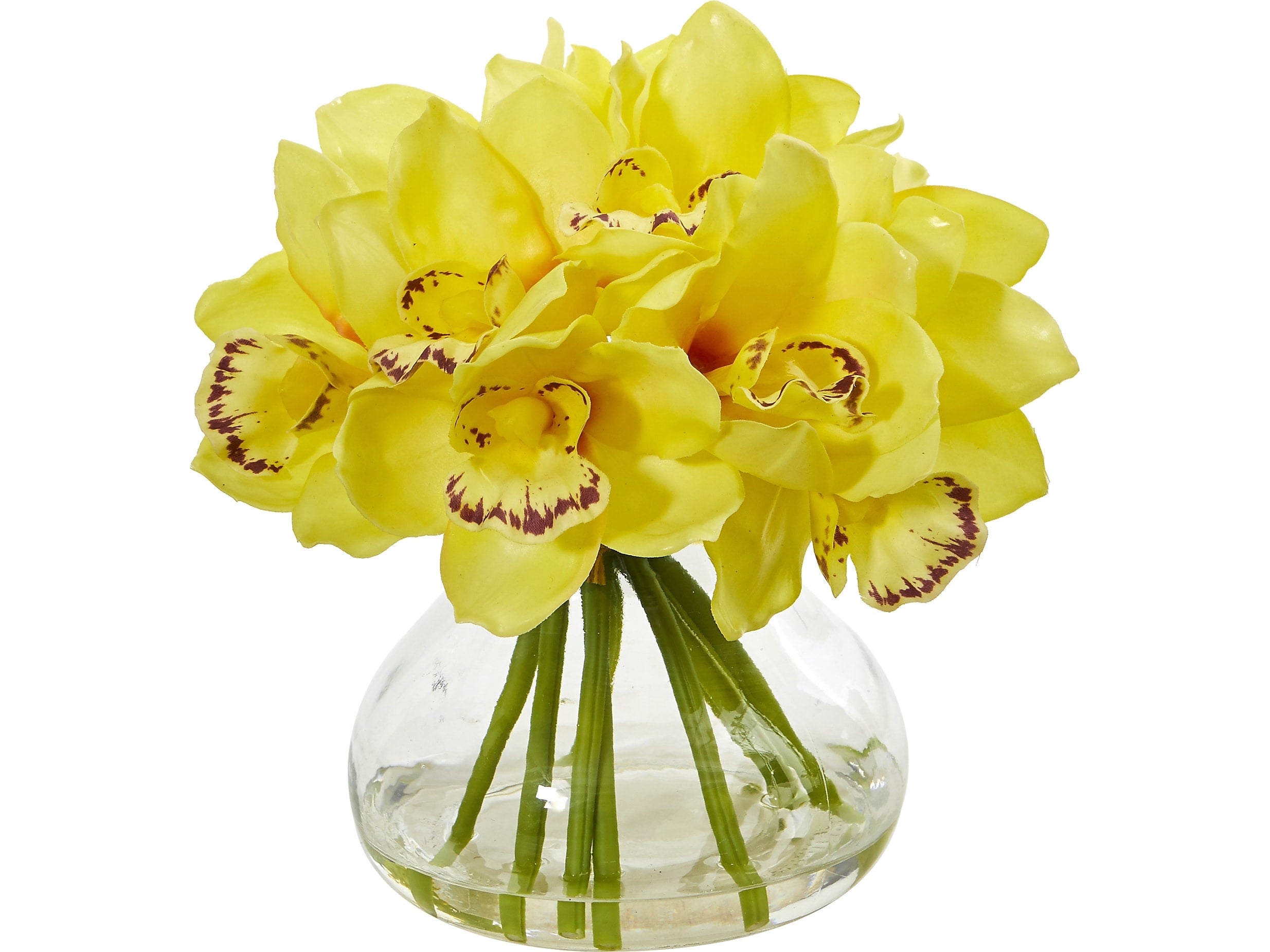 Nearly Natural Cymbidium Orchids in Decorative Vase