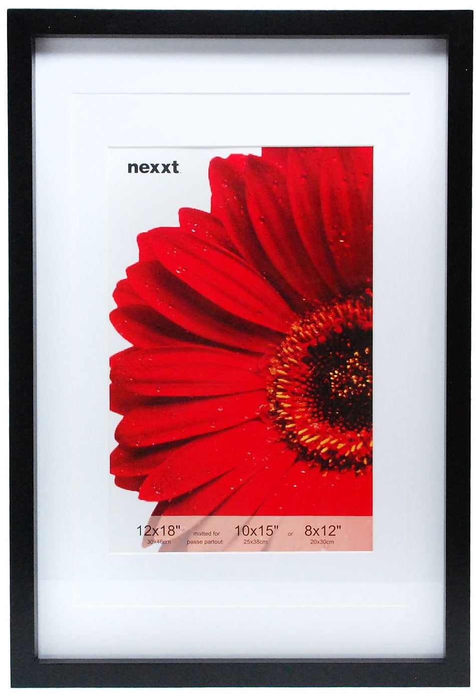 Nexxt PN00244-0FF Wood 13.2" x 19.6" Picture Frame, Black