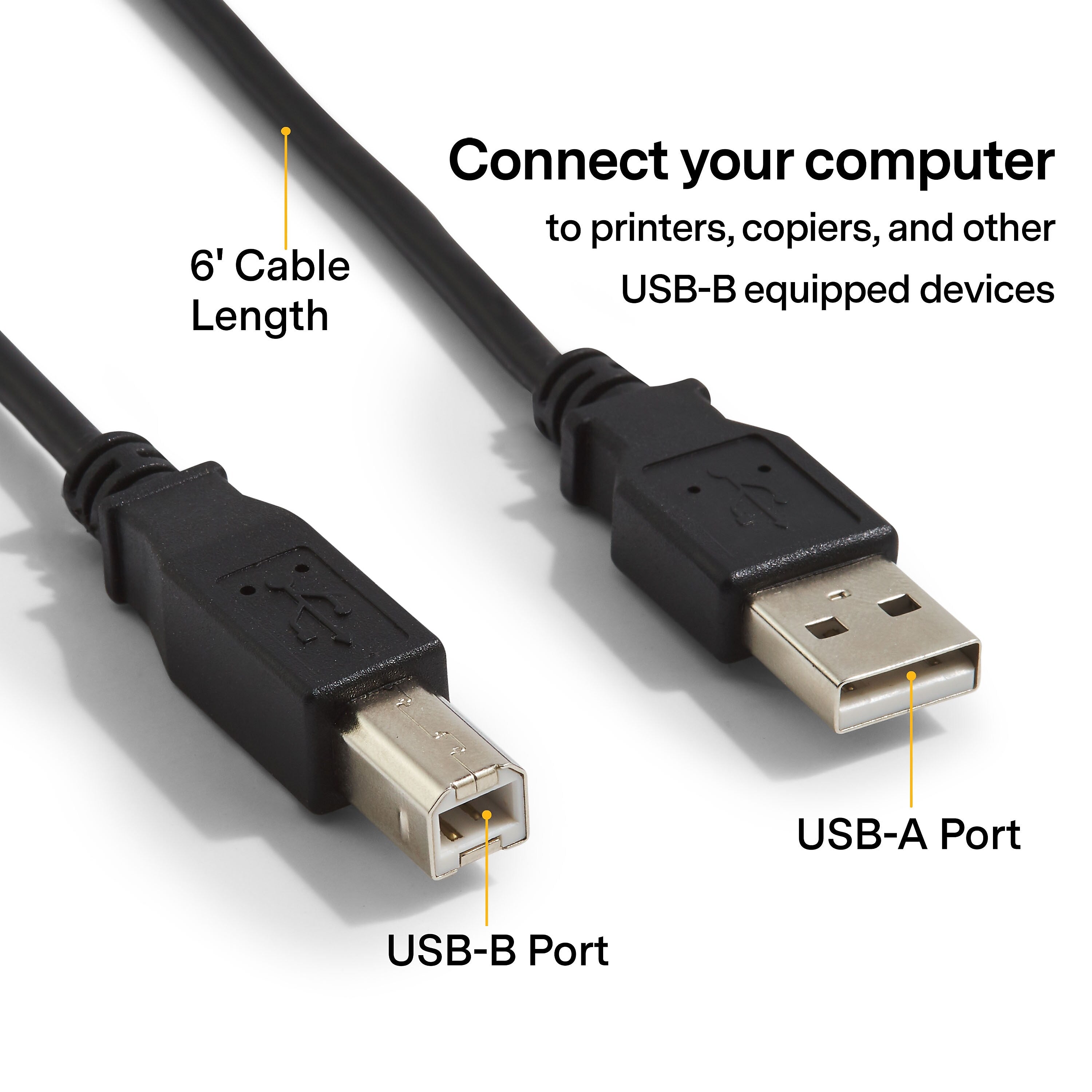 NXT Technologies™ 6' USB A Male/B Male, Black