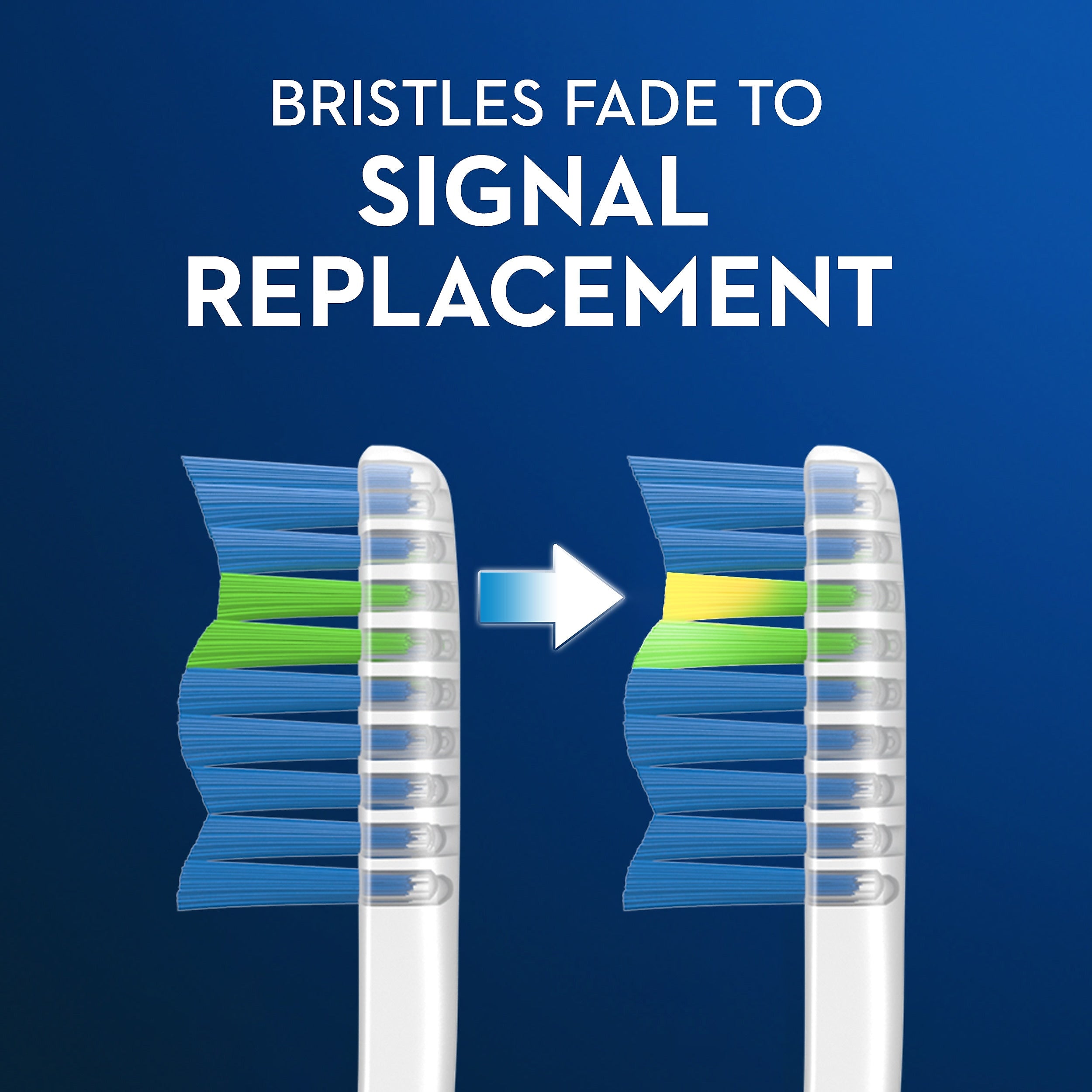 Oral-B Manual Indicator Contour Clean Soft Bristle Toothbrush, 72/Carton